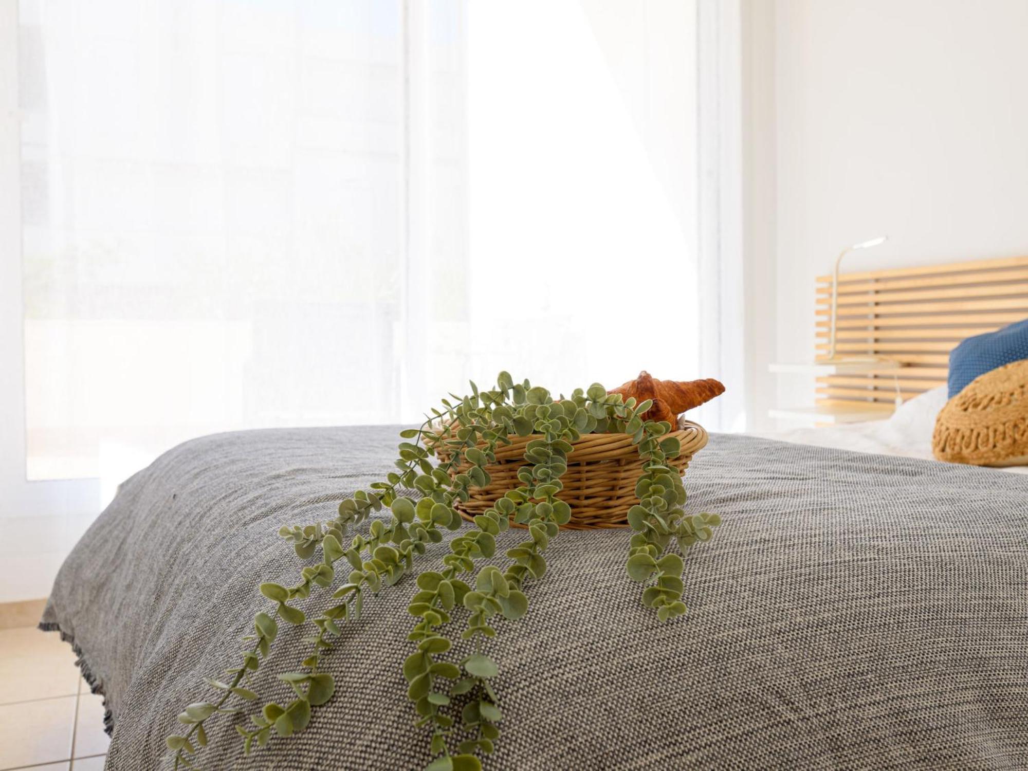 Apartment Antinea-4 By Interhome ラ・グランド・モット エクステリア 写真